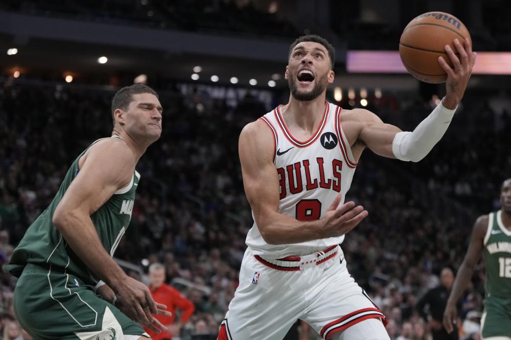 夺冠年份的 夺冠年份的